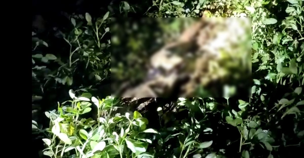 Mayat yang ditemukan di di Desa Bunajih, Kecamatan Labang, Kabupaten Bangkalan.(Foto: Media Sosial)