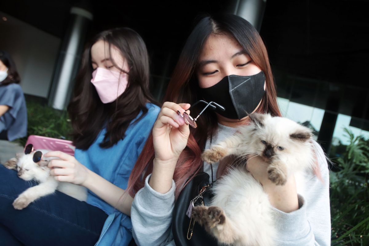 Hewan kesayangan bisa diajak serta mudik lebaran. (Foto: ilustrasi, Farizal Tito/jatimnow.com)