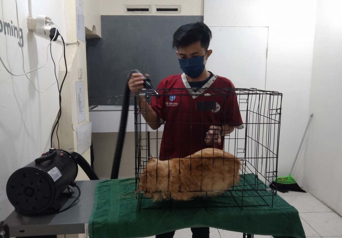 Root Petshop Jalan Kawi Nomor 62, Dusun Banurejo, Desa Cepokomulyo, Kecamatan Kepanjen, Kabupaten Malang (Foto: Rizal Adhi Pratama/jatimnow.com)