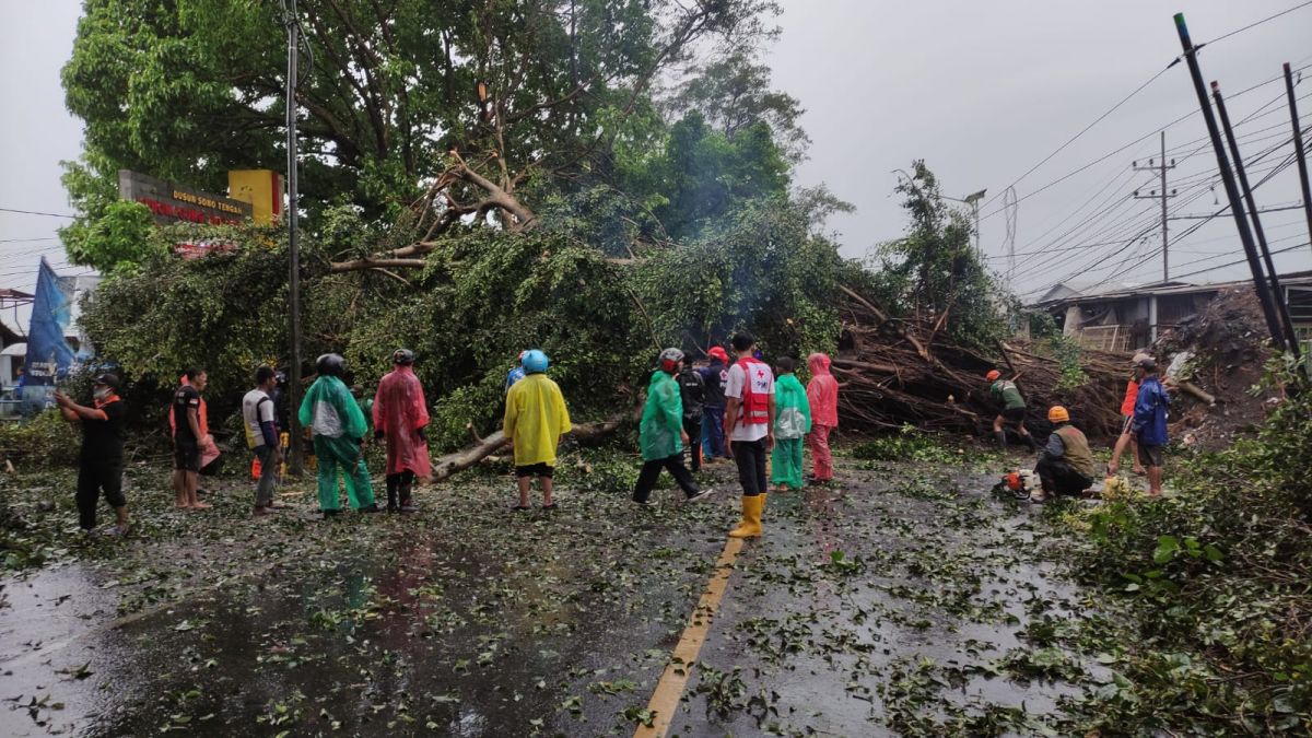 Jalur Malang-Blitar Terputus akibat Pohon Tumbang, Ini Jalan Alternatifnya