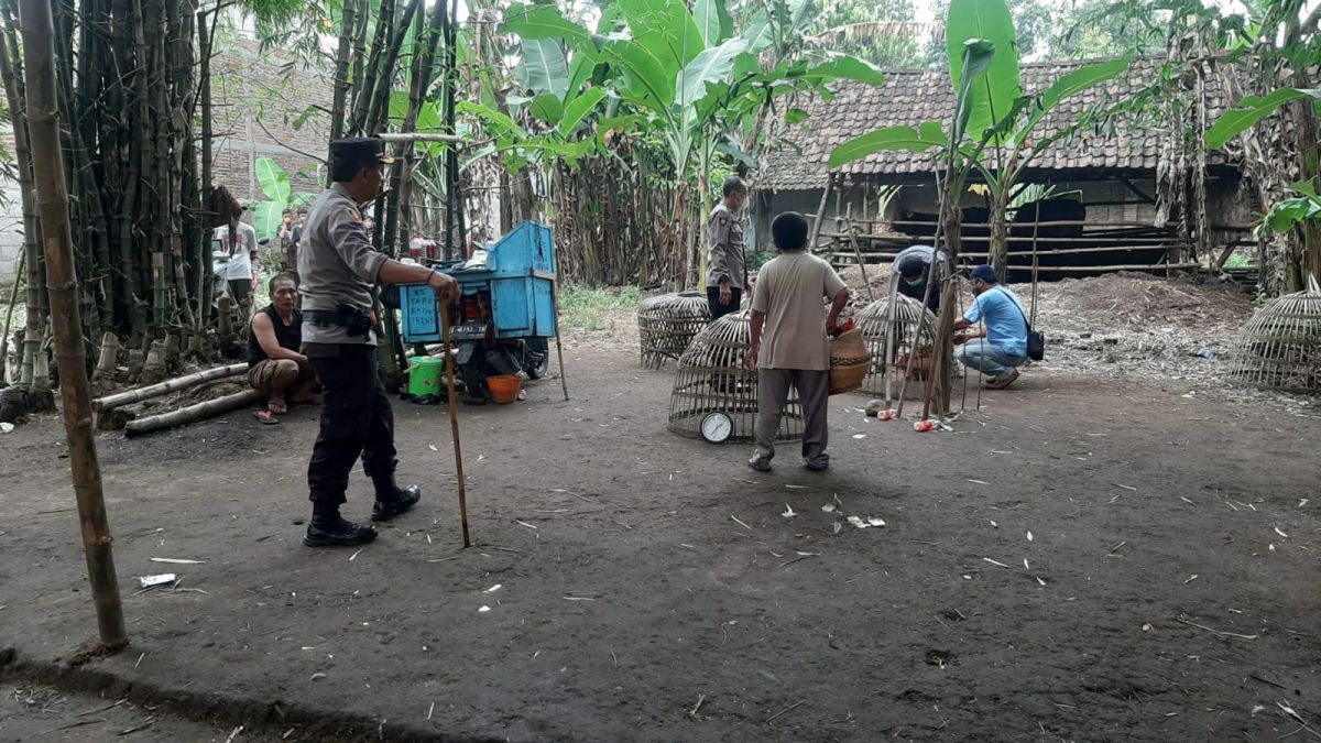 Arena judi sabung ayam yang digerebek Polsek Jetis. (Foto: Polsek Jetis/jatimnow.com)