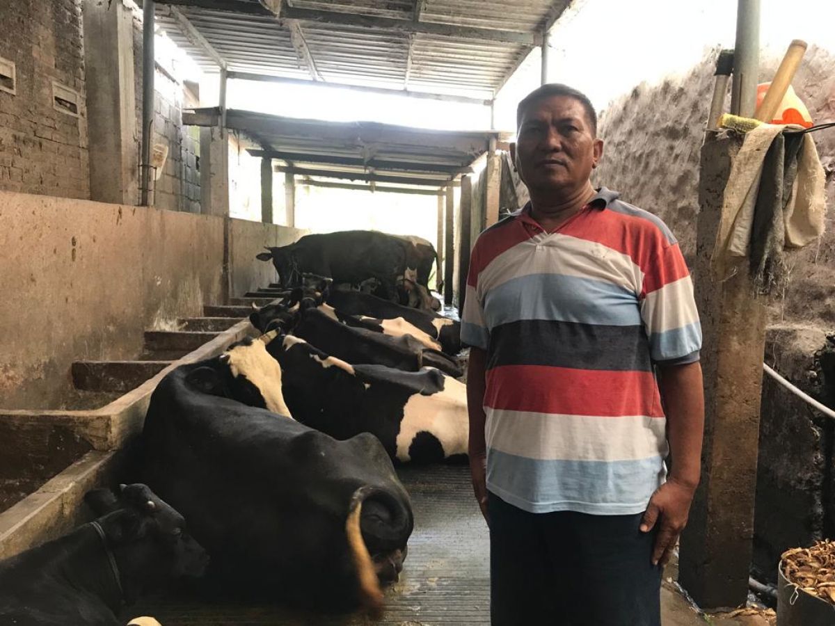 Kisah Sukses Hajir Pilih Jadi Peternak Sapi Ketimbang Daftar PNS