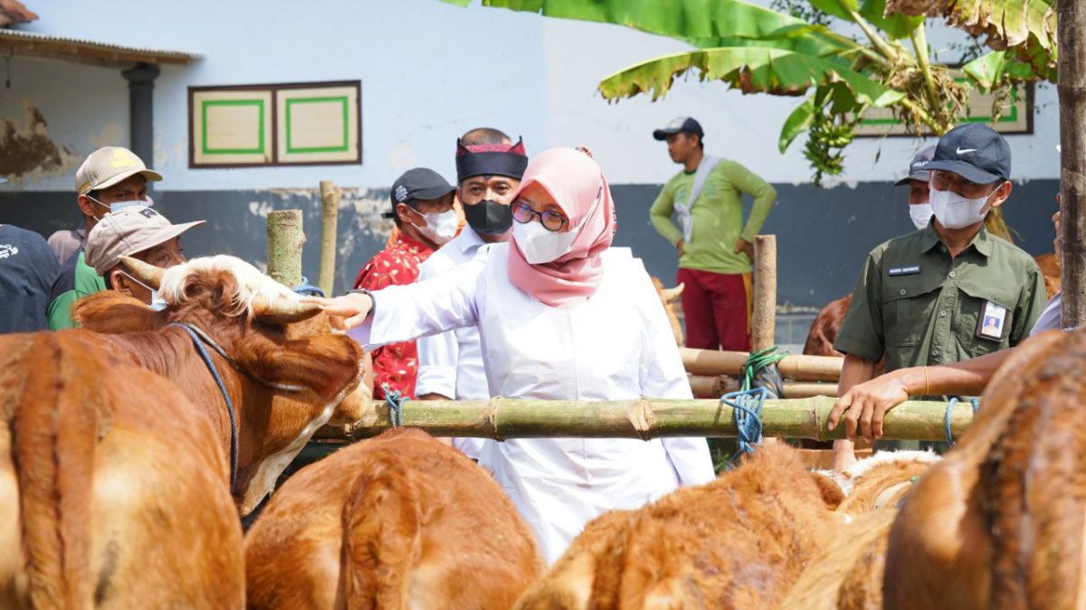 Bupati Banyuwangi Ipuk Fiestiandani saat meninjau pelaksanaan surveilens di sela aktivitas program Bupati Ngantor di Desa (Bunga Desa), di Desa Kaliploso, Kecamatan Cluring, Rabu (18/5/2022).(Foto: Humas Pemkab Banyuwangi)