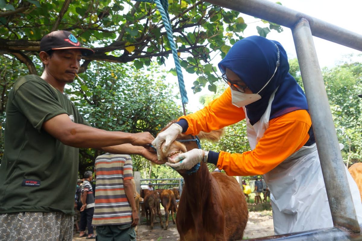 DKPP Kabupaten Kediri melakukan pengecekan di pasar hewan.(Foto: Humas Pemkab Kediri/Jatimnow.com)