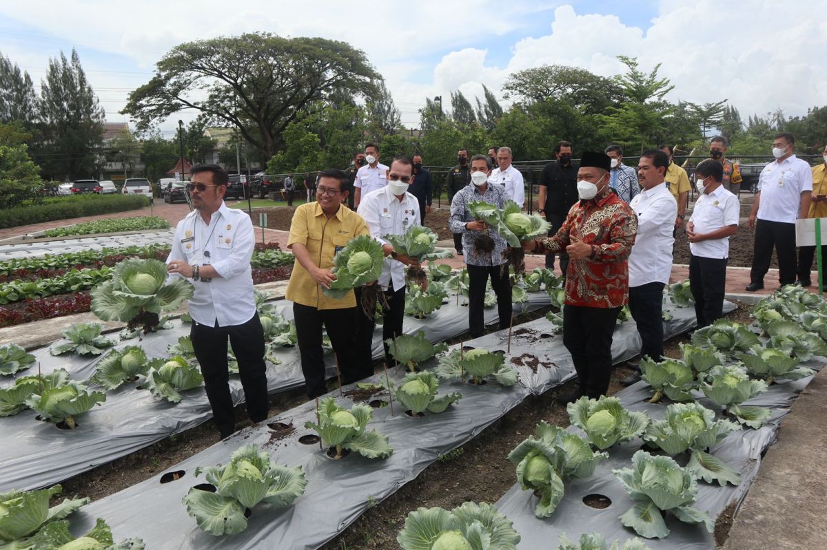 Menteri Pertanian (Mentan) Syahrul Yasin Limpo menunjukkan hasil pertanian. (Foto: PT Pupuk Indonesia for jatimnow.com)