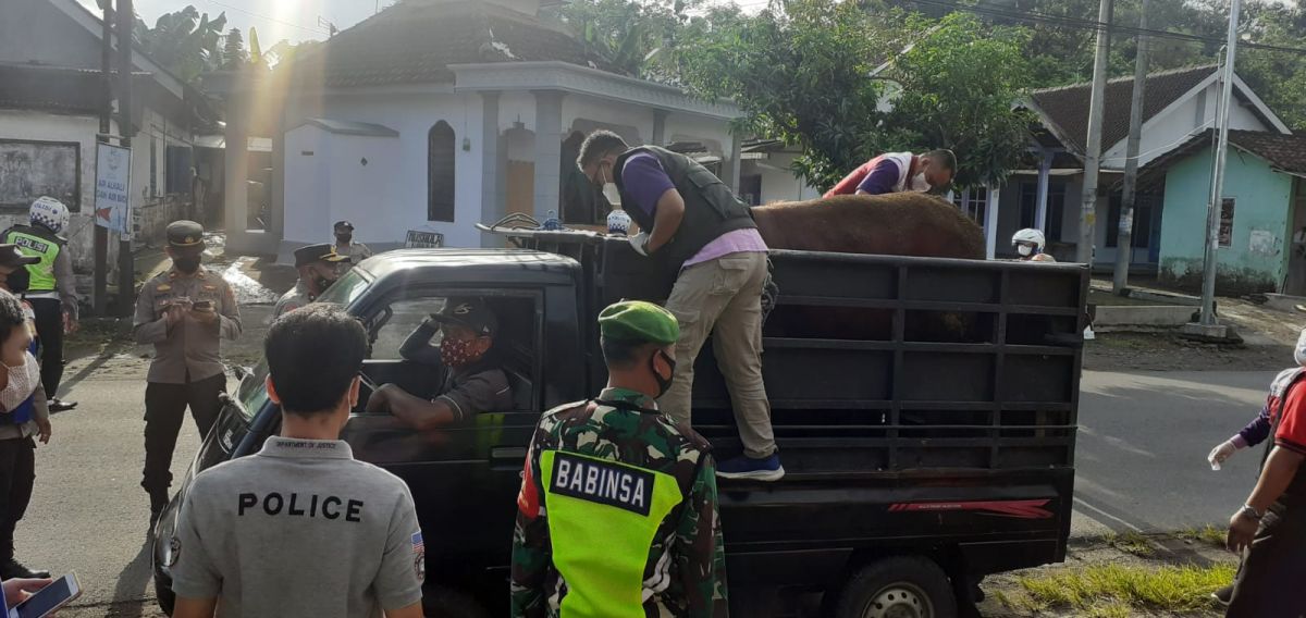 Pemeriksaan hewan ternak di pos check point.(Foto: DKPP Kabupaten Kediri forJatimnow.com)
