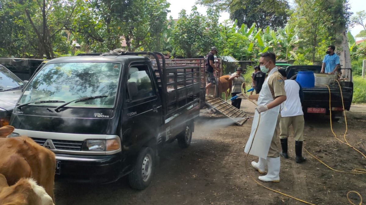 Petugas DKPP Kabupaten Kediri melakukan penyemprotan desinfektan di Pasar Hewan Grogol. (Foto: Yanuar Dedy/Jatimnow.com)