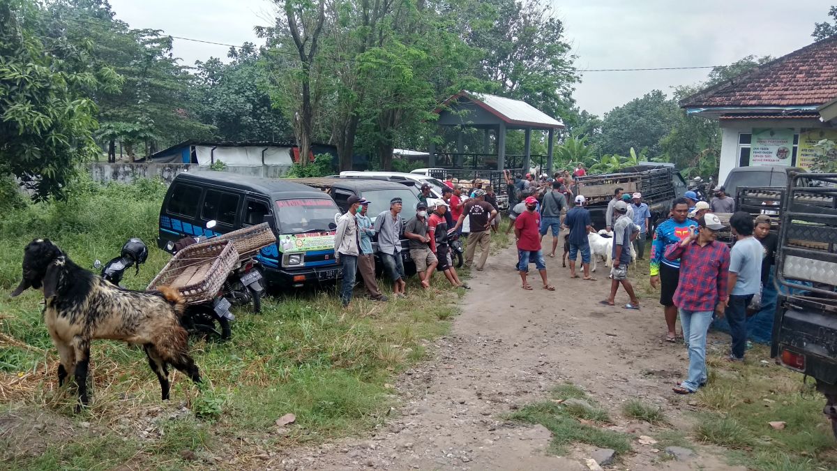 Peternak Kambing di Mojokerto Ingin Pasar Hewan Dibuka, Ini Jawaban Pemkab