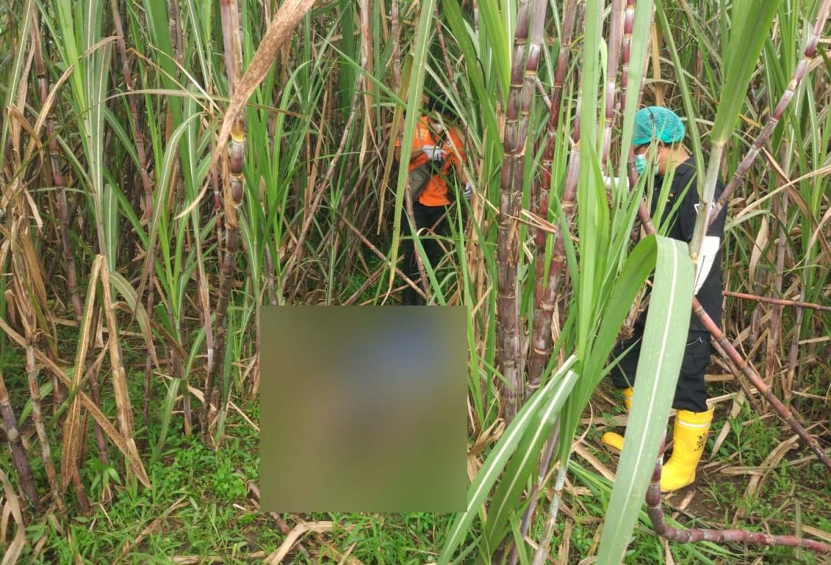 Tim Inafis Polres Tulungagung melakukan identifikasi di lokasi penemuan mayat (Foto: Dok. Polsek Ngantru)