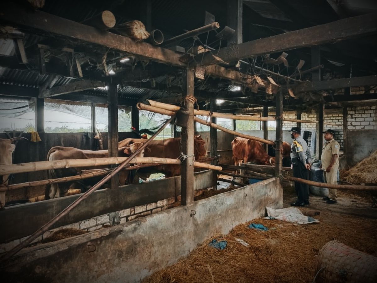 Salah satu lokasi ternak di Kabupaten Lamongan yang diawasi ketat pihak kepolisan dan pemkab. (Foto: Adyad Ammy Iffansah/jatimnow.com)