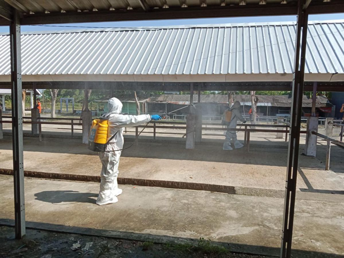 Cegah PMK, RPH hingga Pasar Hewan di Lamongan Disemprot Disinfektan