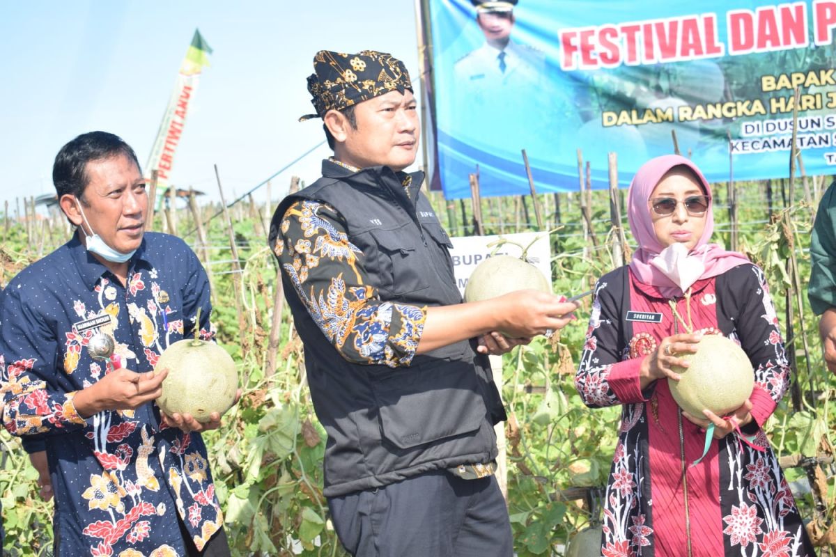 Meski Terkendala Cuaca, Petani Melon Lamongan Raup Untung Rp27 Juta/Ha