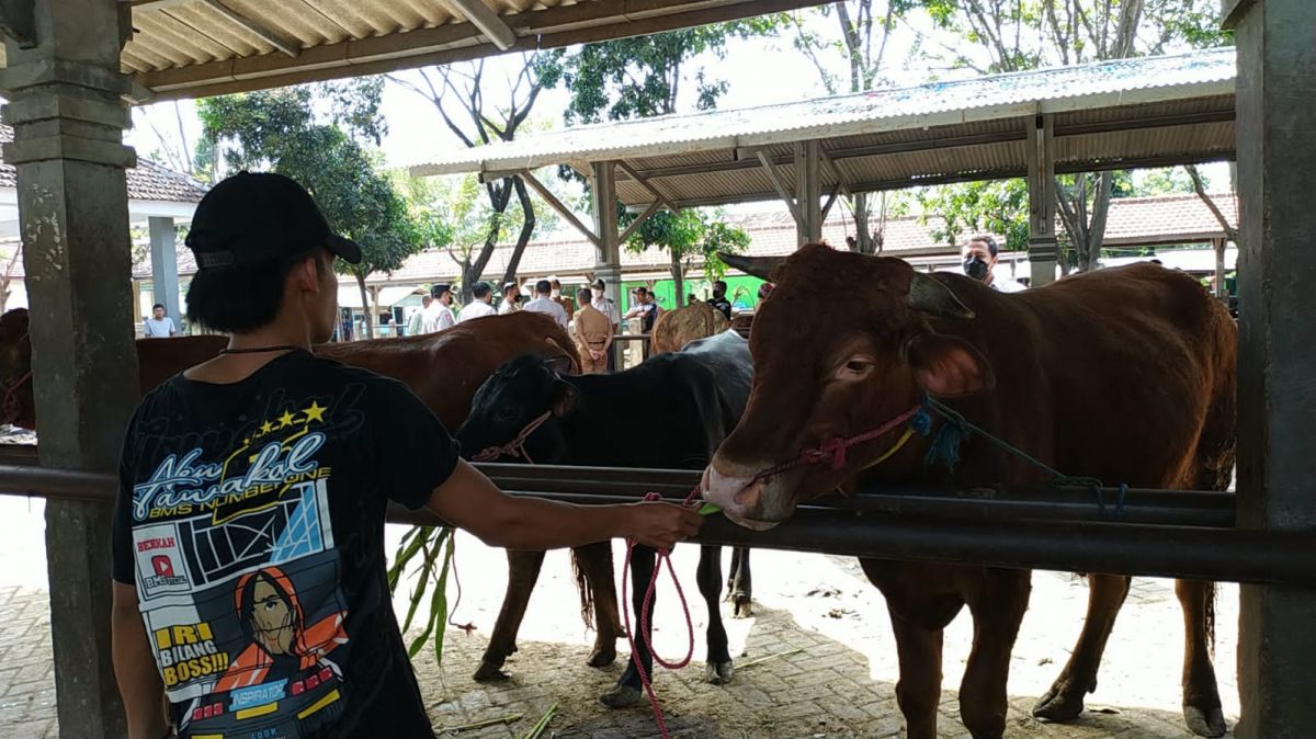 Lokasi pasar hewan Kelurahan Jrebeng Kidul Kecamatan Wonoasih Kota Probolinggo. (Foto: Mahfud Hidayatullah/jatimnow.com)