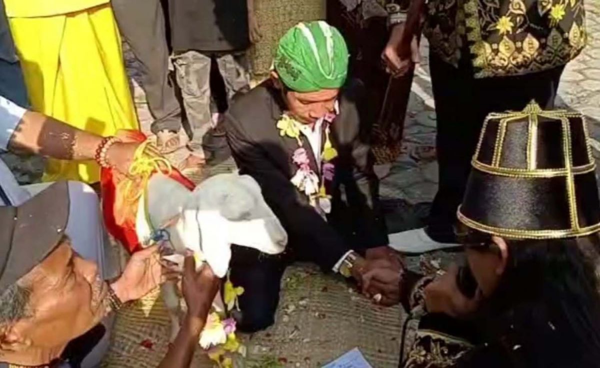 Tangkapan layar video konten pria nikahi seekor domba di Gresik yang viral di media sosial