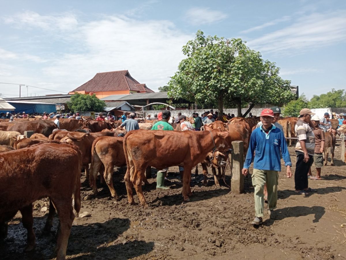Pasar Hewan Kabuh.(Foto: Elok Aprianto)