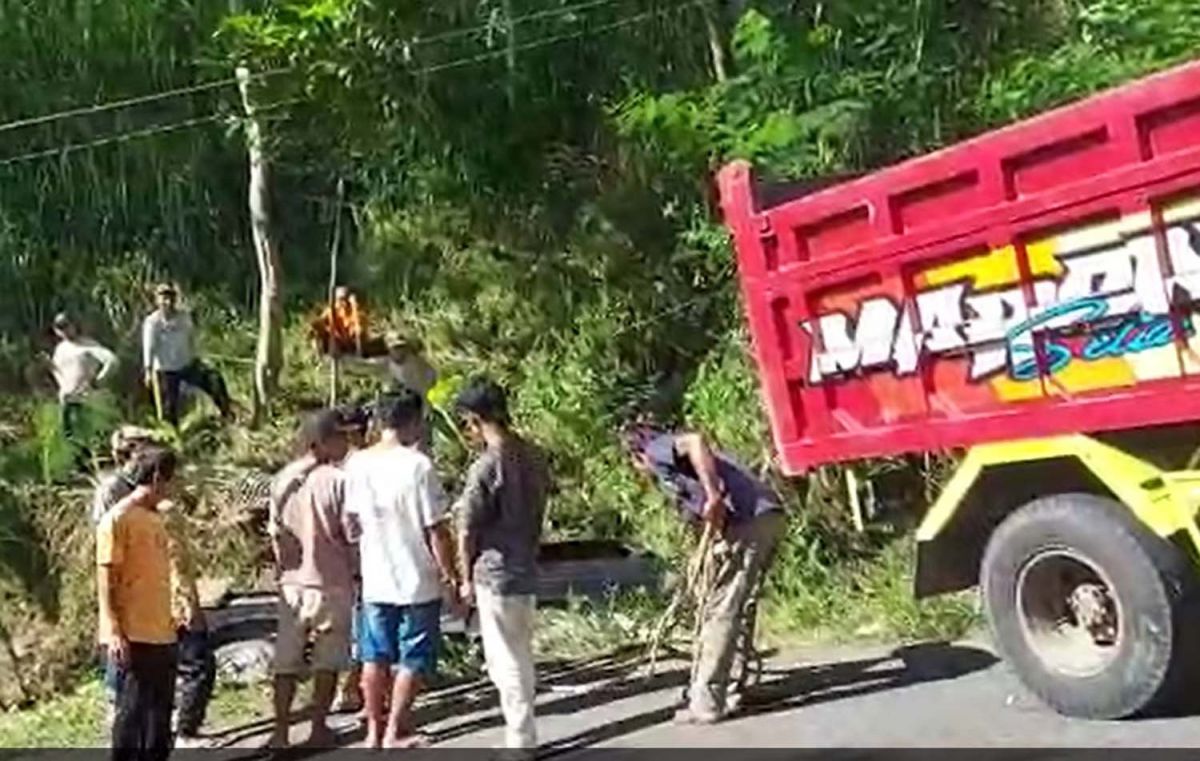 Pikap Bermuatan Telur Terjun ke Jurang di Tanjakan Biting, Ponorogo