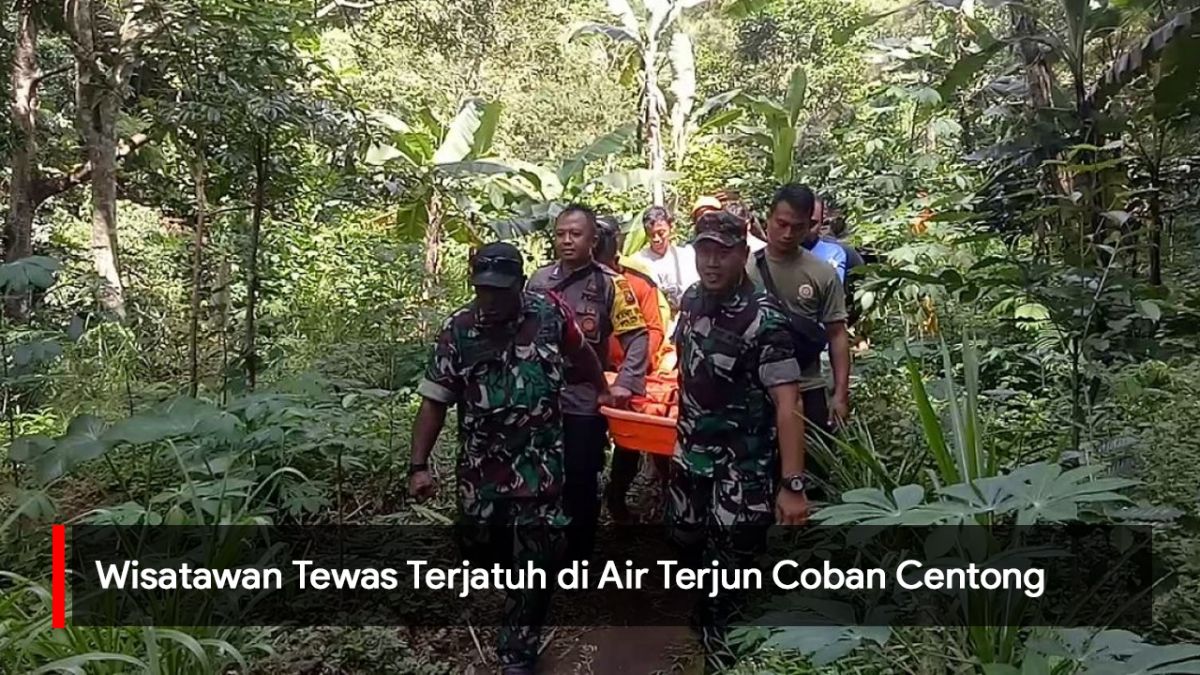 Video: Wisatawan Tewas Jatuh di Air Terjun Coban Centong