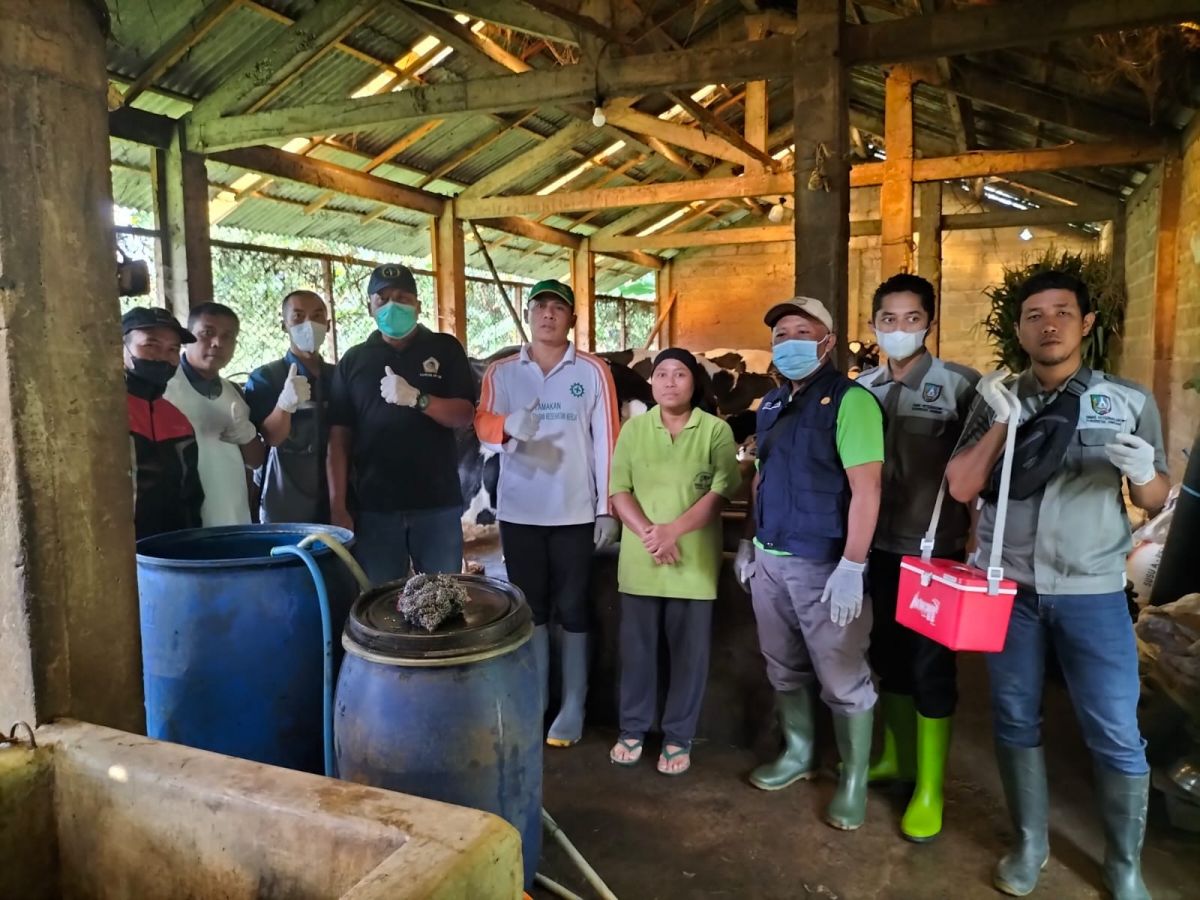 Vaksin PMK perdana yang dilakukan di kandang sapi milik Pak Abu Yahya, Desa Jarak, Kecamatan Wonosalam.(Foto: Elok Aprianto)