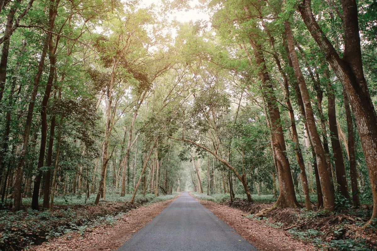 Alas Purwo Dibuka 24 Jam saat Malam 1 Suro