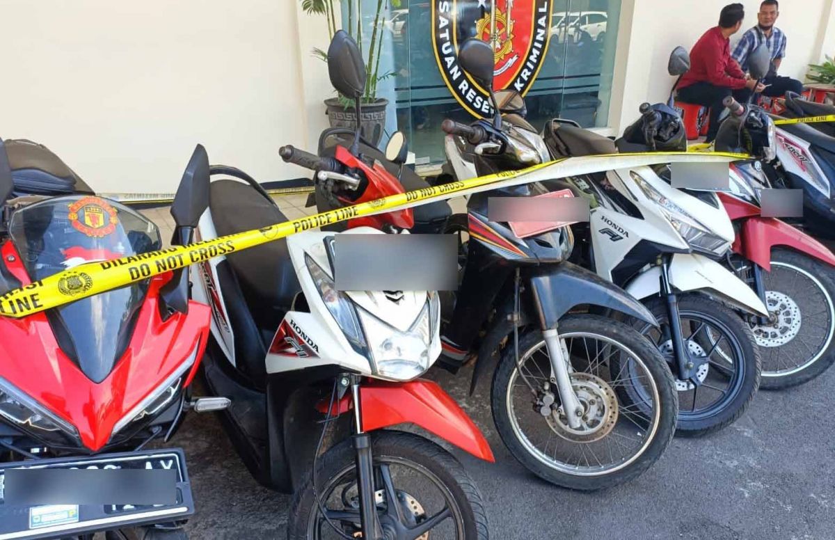 Polisi Bondowoso Telusuri Pemilik Motor Pelat Merah di Arena Judi Sabung Ayam