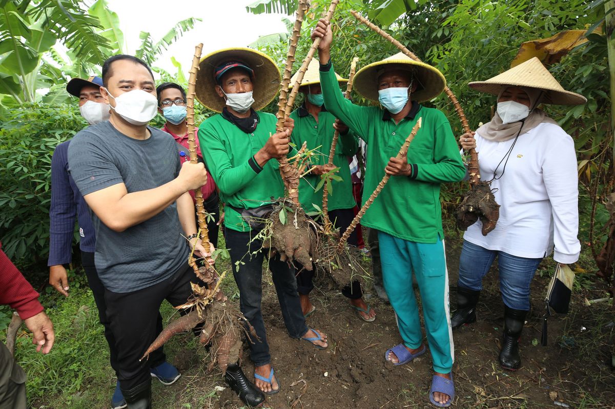 Wali Kota Surabaya saat di BTKD Tambak Wedi. (Foto: Humas Pemkot Surabaya/jatimnow.com)
