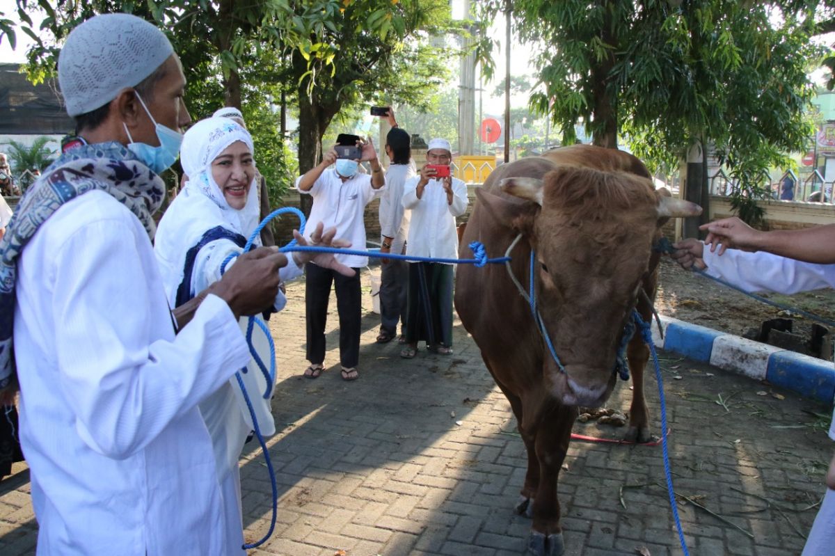 Bupati Bojonegoro Anna Muawanah saat meninjau penyembelihan hewan kurban di Masjid Baiturrohman Islamic Centre. (Foto: Humas Pemkab Bojonegoro/jatimnow.com)