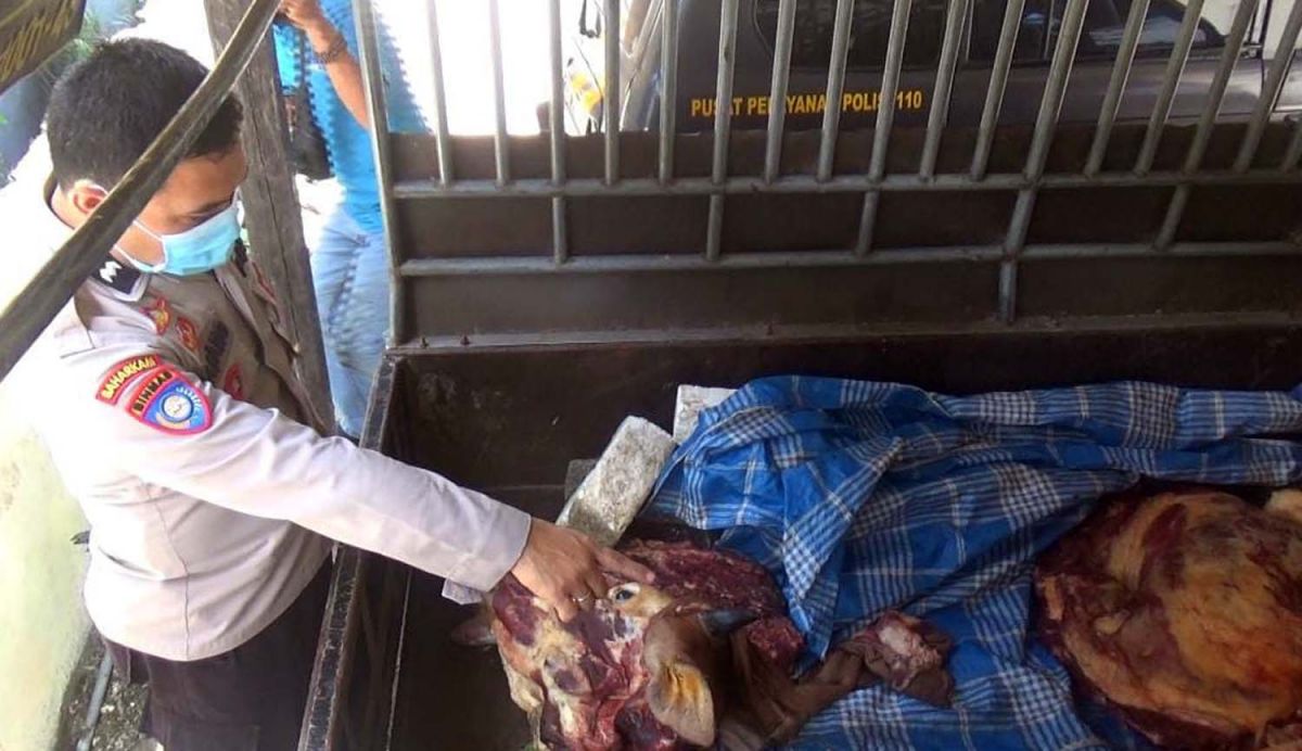 Anggota Polsek Sumbersari, Jember mengecek daging sapi yang diduga tidak layak konsumsi (Foto: Humas Polsek Sumbersari)