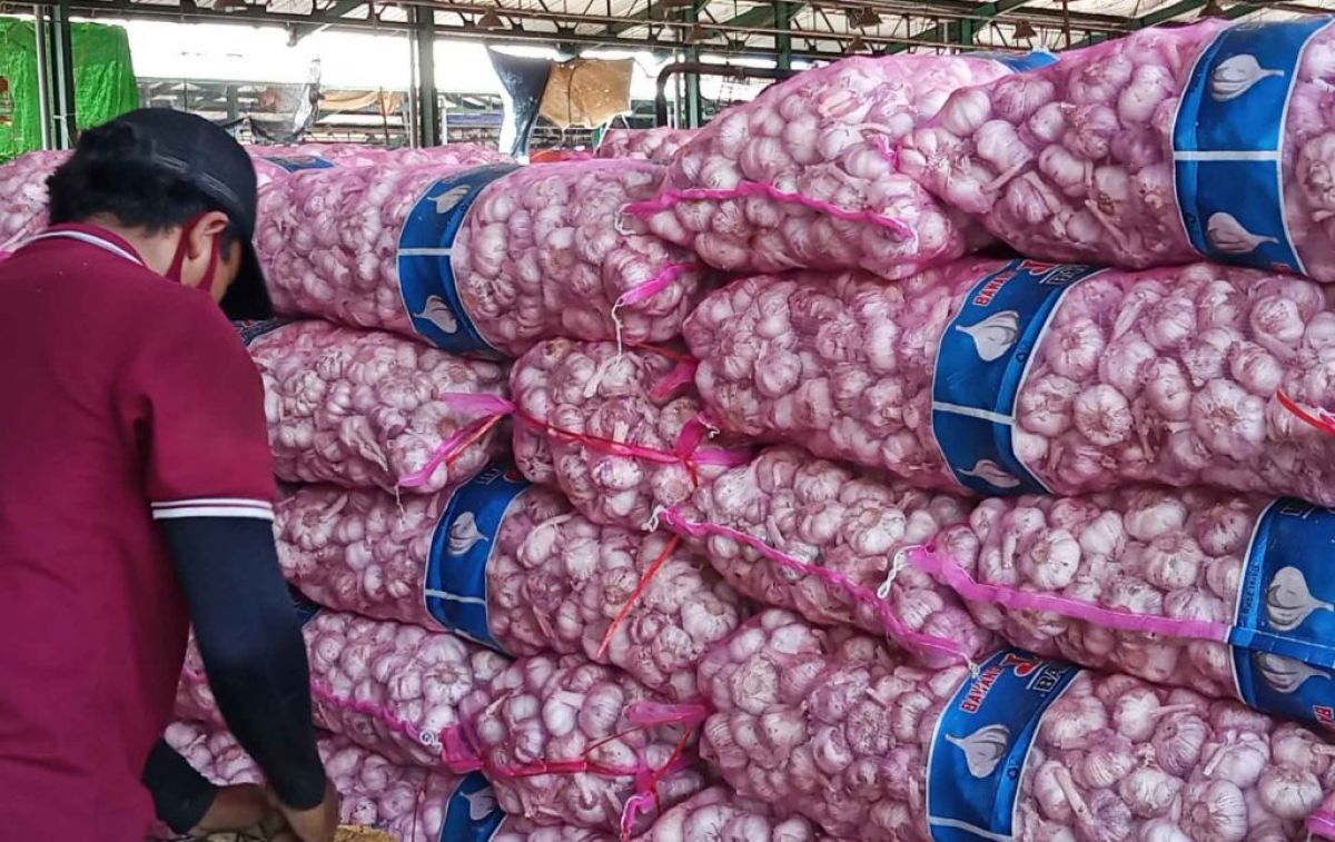 Bawang putih (Foto: Dok. jatimnow.com)