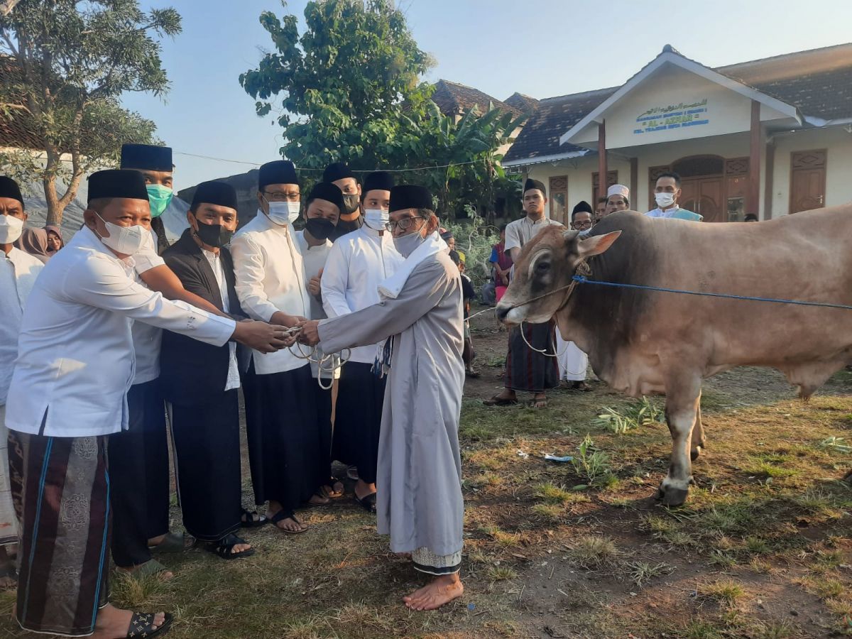 Pemkot Pasuruan Salurkan 6 Sapi dan 105 Ekor Kambing Kurban untuk Warga