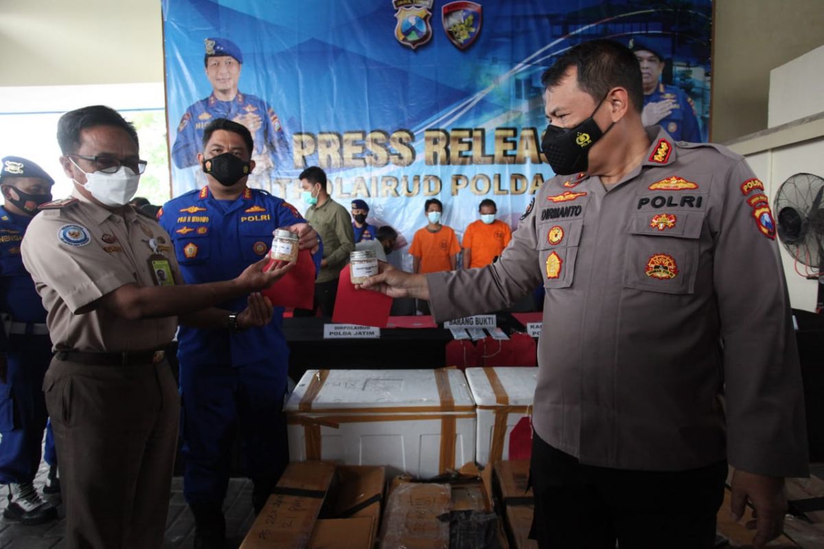 Ditpolair Polda Jatim Gagalkan Pengiriman Benur Ilegal Senilai Rp10 Miliar