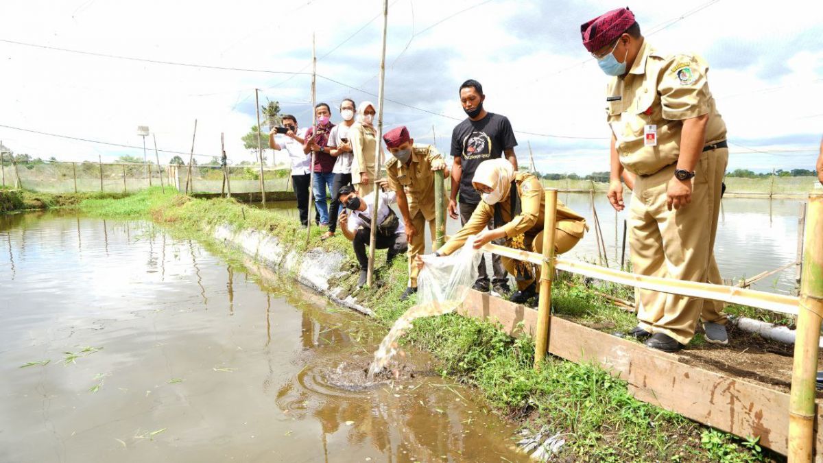 Bupati Banyuwangi Ipuk Fiestiandani saat di Kampung Koi.(Foto: Humas Pemkab Banyuwangi)