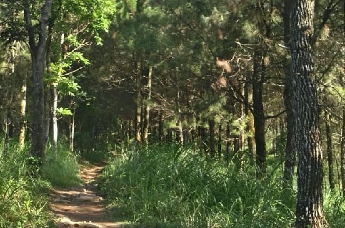 Cerita Hilangnya Jalur Pendakian dan Nenek Misterius Penunjuk Jalan