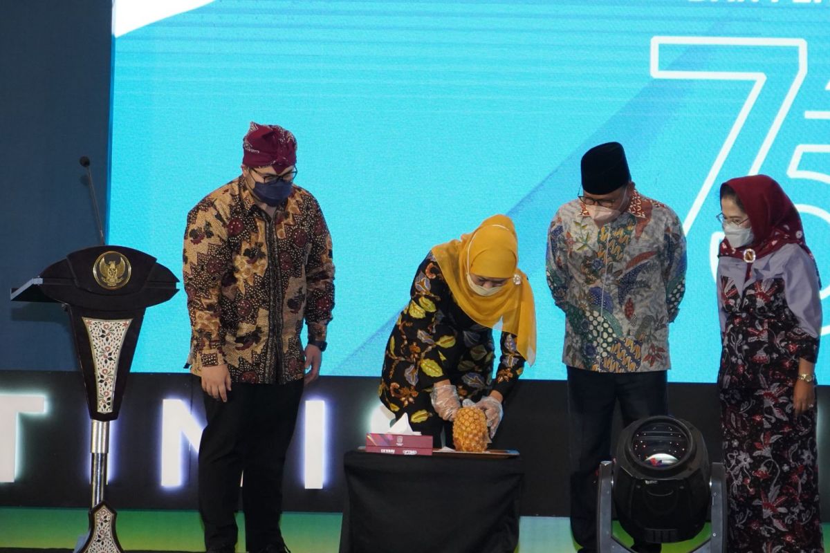 Momen Khofifah mengupas nanas Pasir Kelud 1 di Grand City, Surabaya. (Foto: Humas Pemkab Kediri/jatimnow.com)