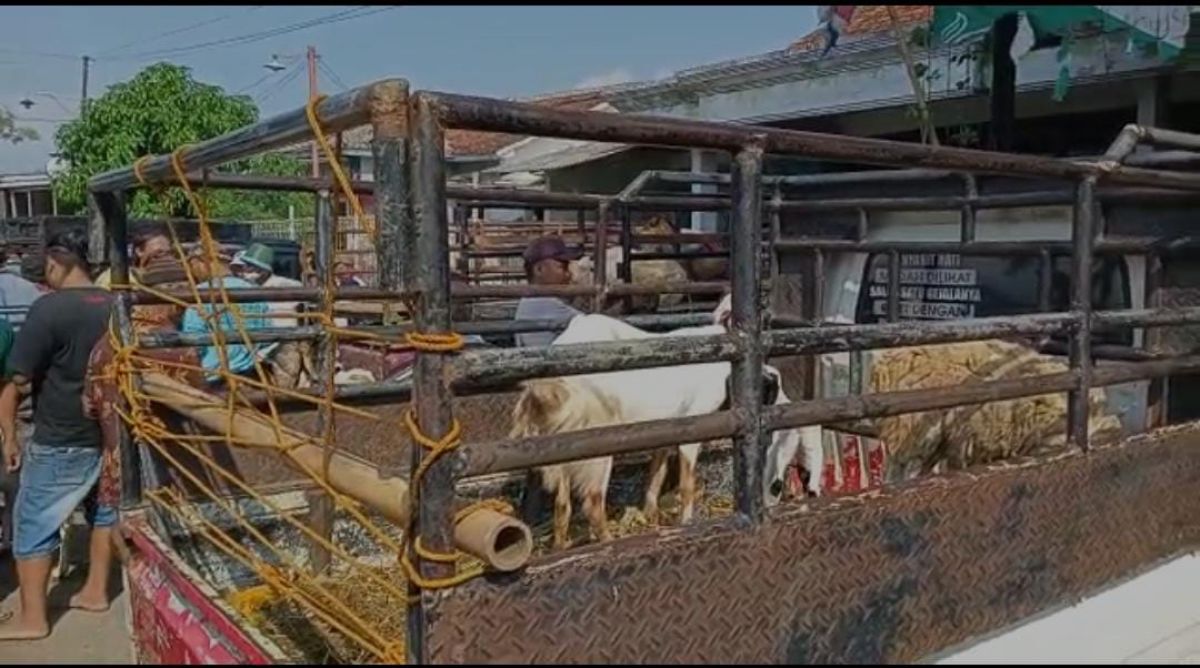 Pedagang hewan kurban di Jalan Raya Jetis-Bungkal.(Foto: Mita Kusuma)