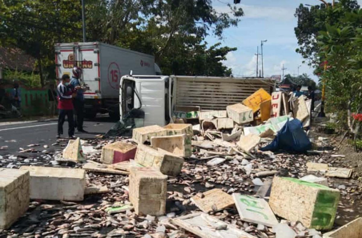 Petugas dibantu warga mengevakuasi pikap bermuatan ikan yang terguling di Bojonegoro (Foto: Misbahul Munir/jatimnow.com)