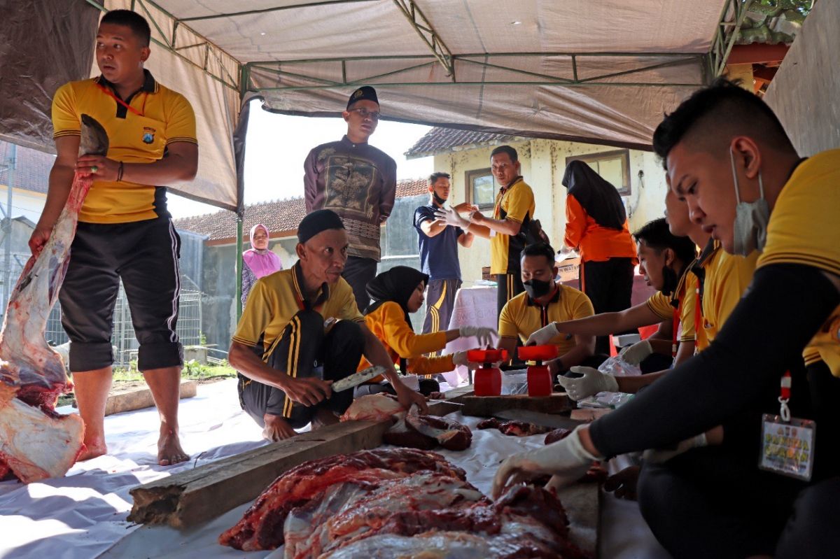 Anggota Polres Bondowoso menyiapkan ratusan paket daging kurban bagi masyarakat. (Foto: Humas Polres Bondowoso/jatimnow.com)