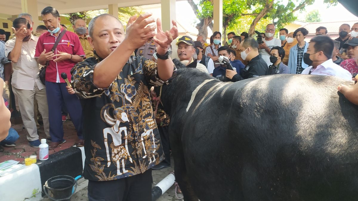 Simulasi penggunaan obat PMK olah Drh. Indro Cahyono selaku penemu di hadapan warga Lamongan.(Foto: Adyad Ammy Iffansah/jatimnow.com)