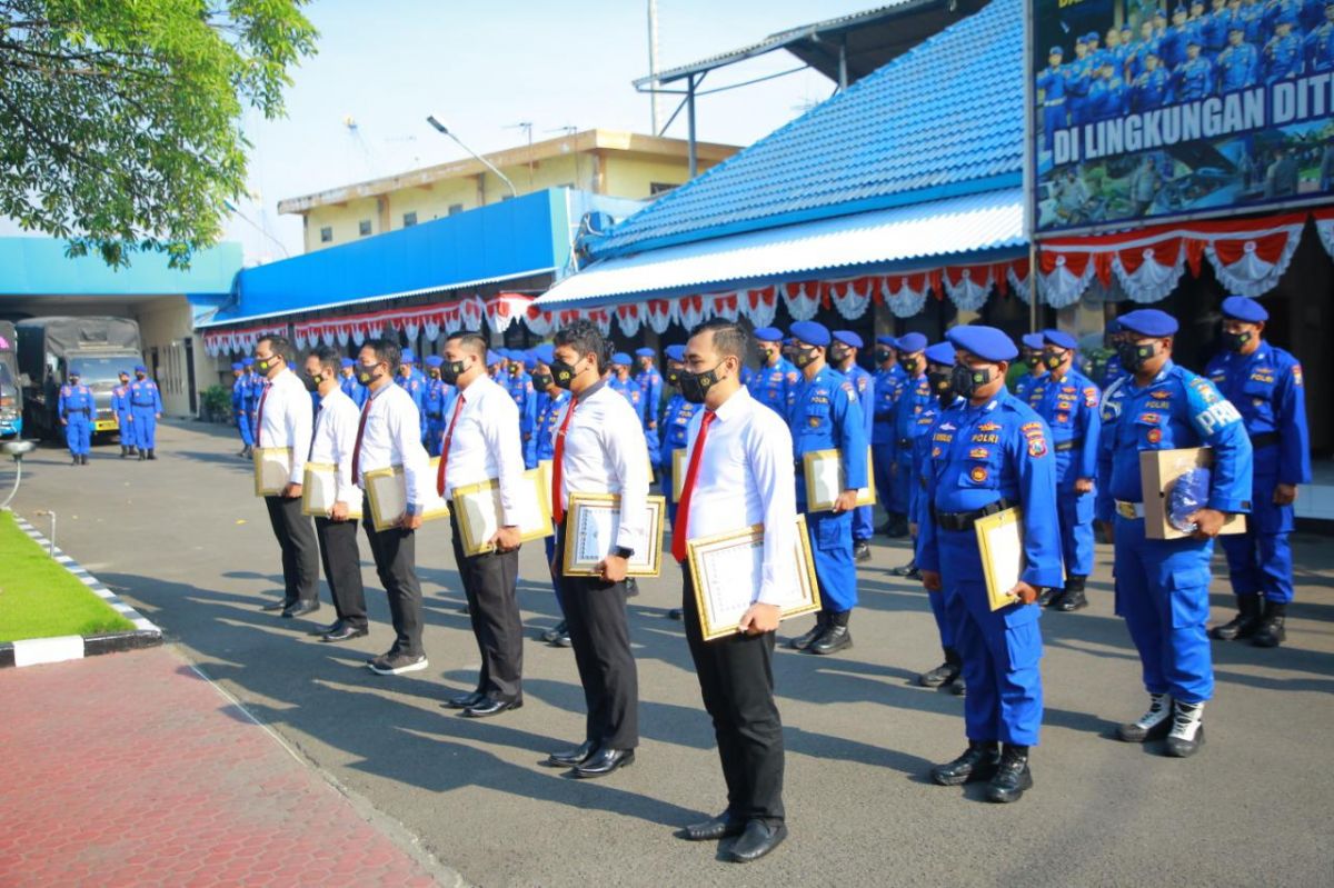 Bongkar Sindikat Benur hingga Ilegal Fishing, Tim Gakkum-Patroli Diganjar Reward