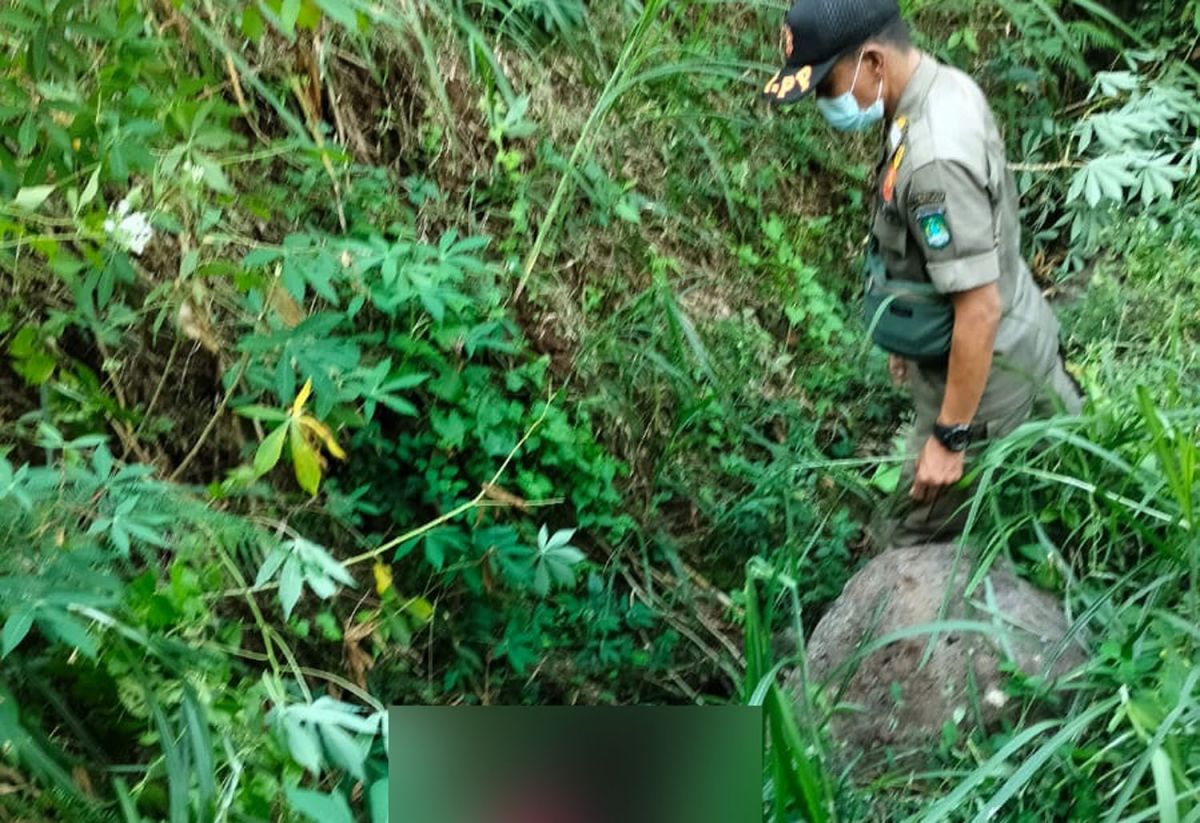 Mayat wanita diduga korban pembunuhan ditemukan dalam jurang di Pasuruan (Foto: Satpol PP Kecamatan Lumbang for jatimnow.com)