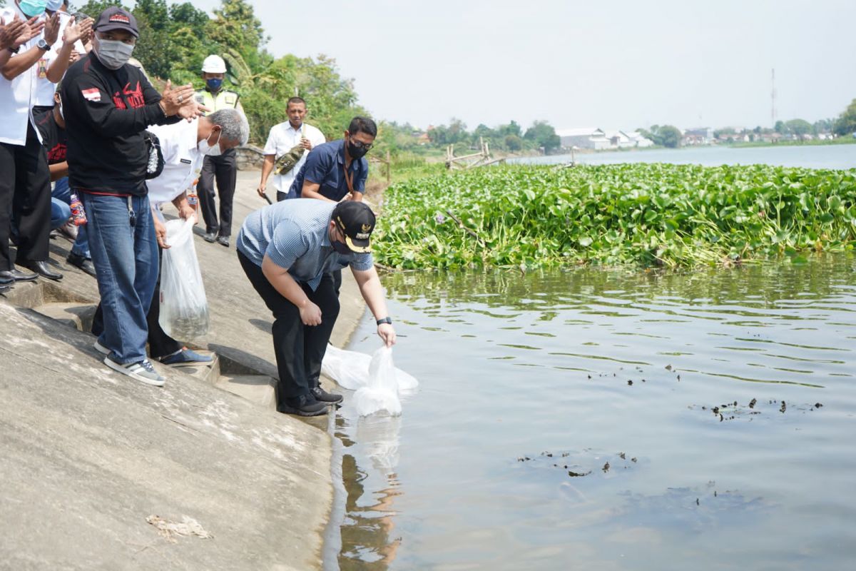 Mas Dhito saat menebar 50.000 benih ikan lokal di Sungai Brantas. (Foto: Humas Pemkab Kediri/jatimnow.com)