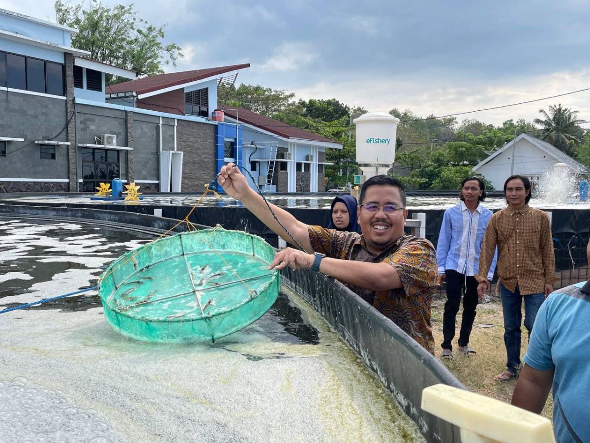 Kunjungi Millennial Shrimp Farm Situbondo, Anwar Sadad: Bisnis yang Menjanjikan