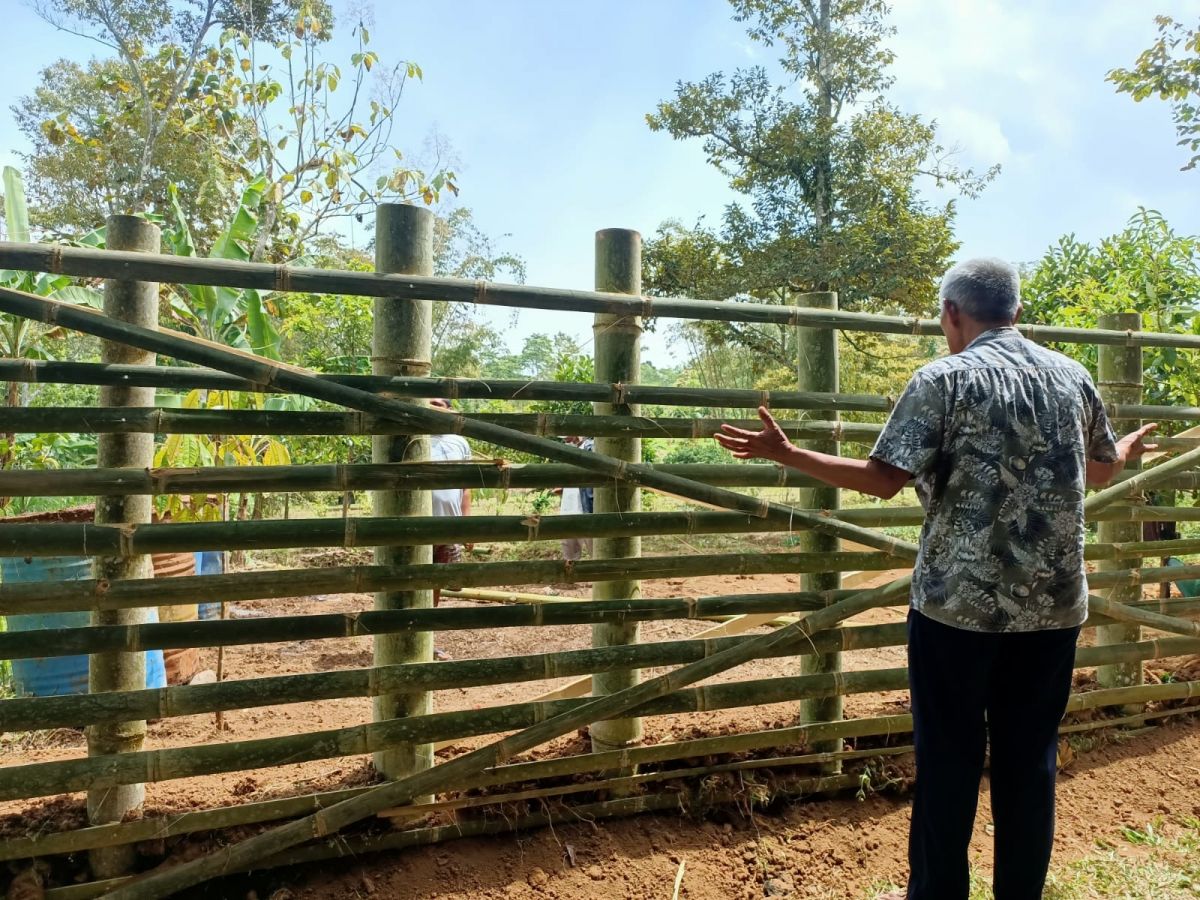 Tanah yang dipagari dengan bambu (Foto: Agus for jatimnow.com)