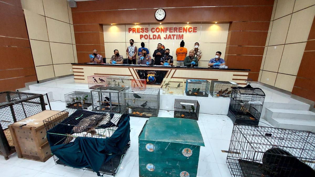 Polda Jatim Bongkar Jual-Beli Satwa Liar Dilindungi, 2 Orang Diamankan