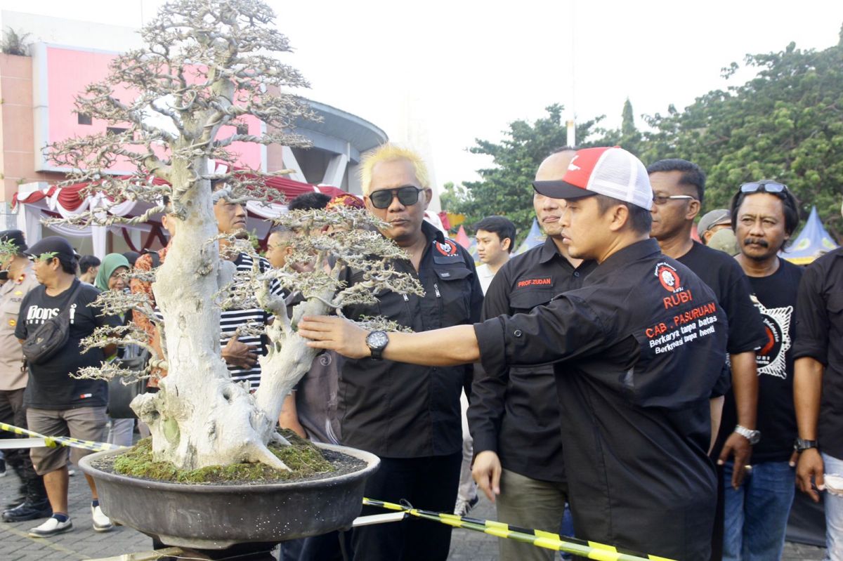 Pekan Raya Bonsai berlokasi GOR Untung Suropati Kota Pasuruan . (Foto: Pemkot Pasuruan)