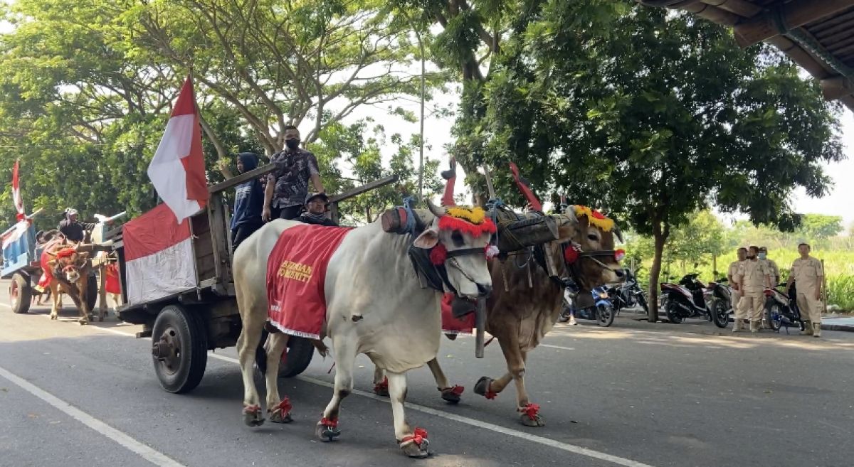 Anoa hingga Rombongan Cikar Ramaikan Kirab Hari Veteran Nasional di Kediri