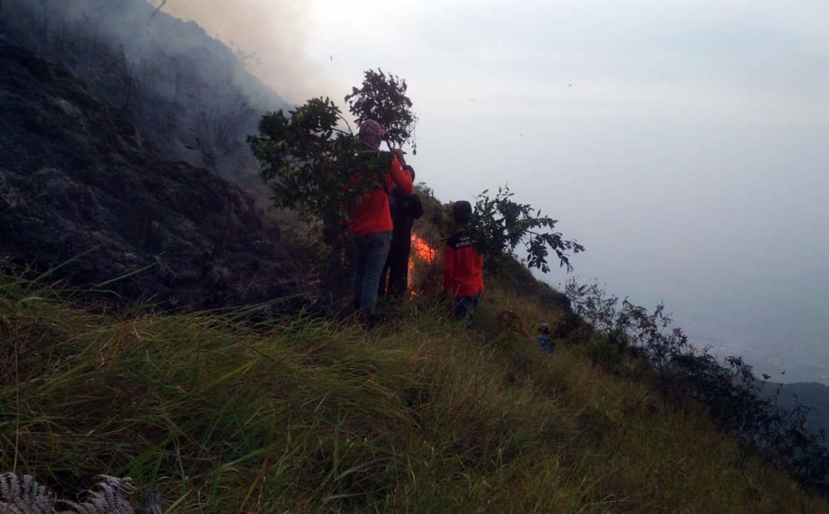 Tim gabungan saat berusaha memadamkan api di lereng Gunung Penanggungan (Foto: Relawan for jatimnow.com)