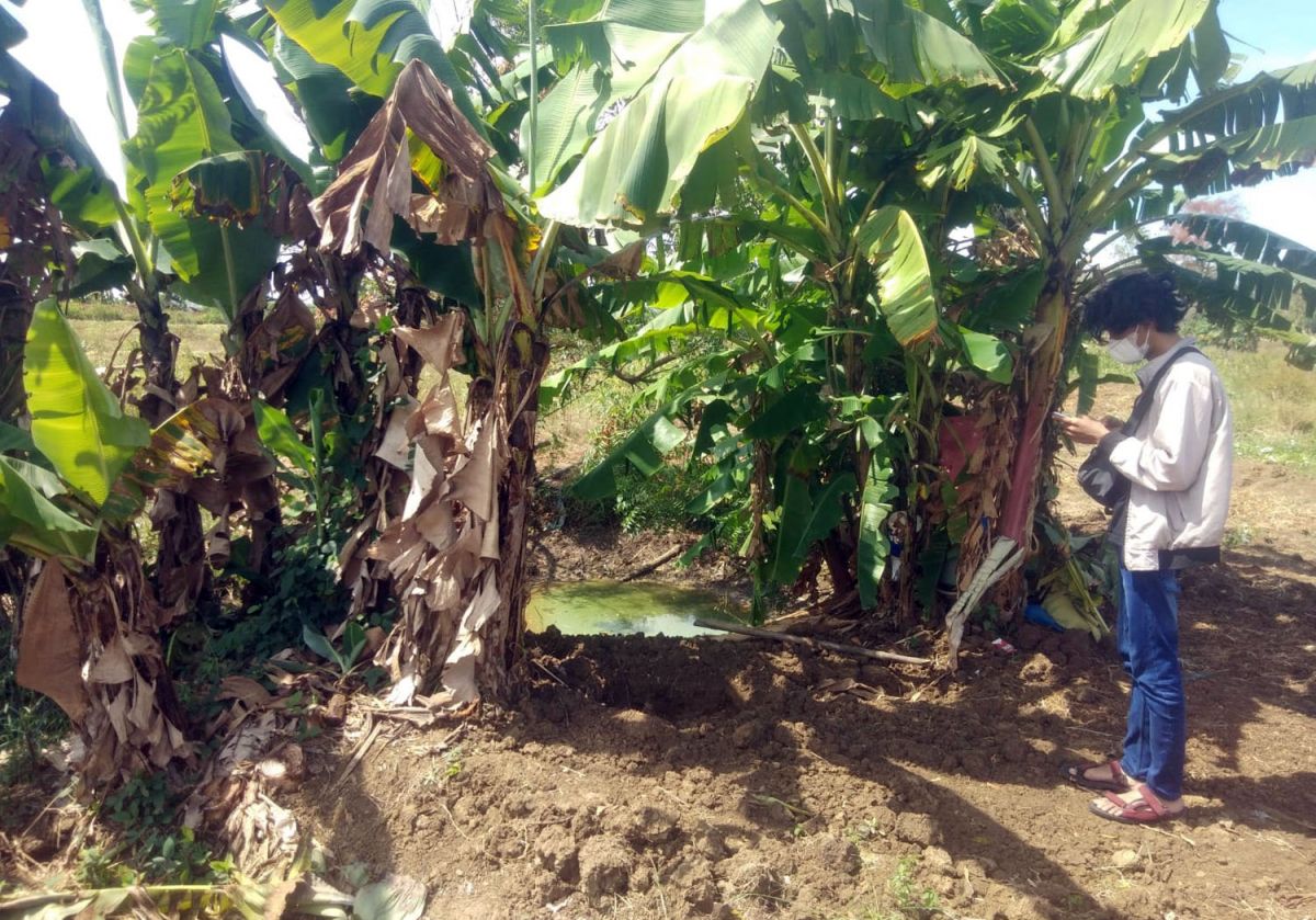 Lokasi penimbunan sabu 29 kilogram di Dawarblandong, Mojokerto (Foto: Nor for jatimnow.com)