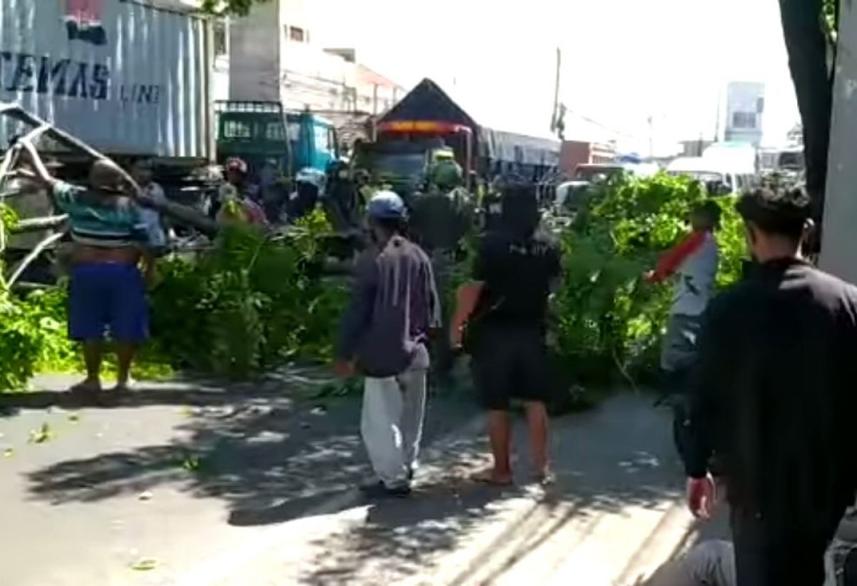 Batang pohon patah timpa 2 pengendara motor asal Surabaya di Pasuruan. (Foto: Tangkapan layar akun Facebook Arief Ardian)