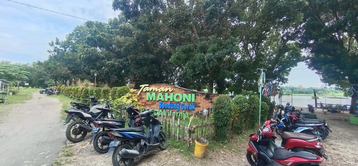 Wisata Taman Mahoni di Desa Kendal, Kecamatan Sekaran, Lamongan.(Foto: Adyad Ammy Iffansah/jatimnow.com)