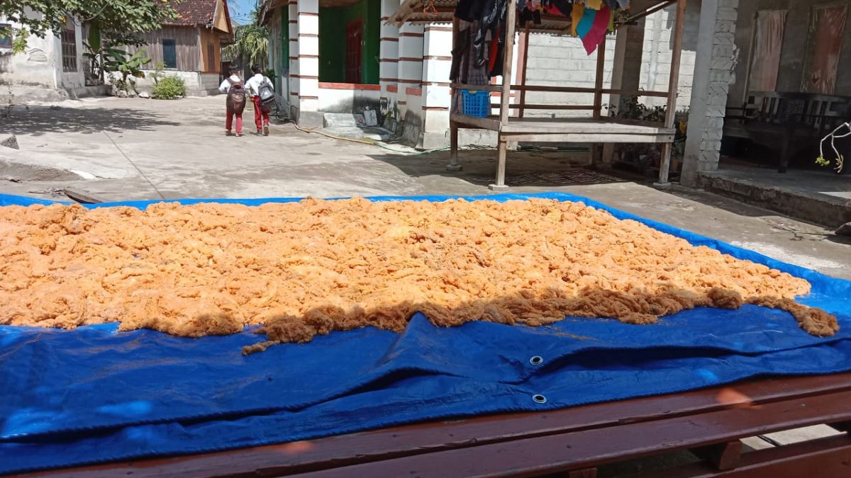 Telur ikan terbang jadi pendapatan menggiurkan bagi warga kepulauan di Sumenep.(Foto: Safrudin for jatimnow.com)